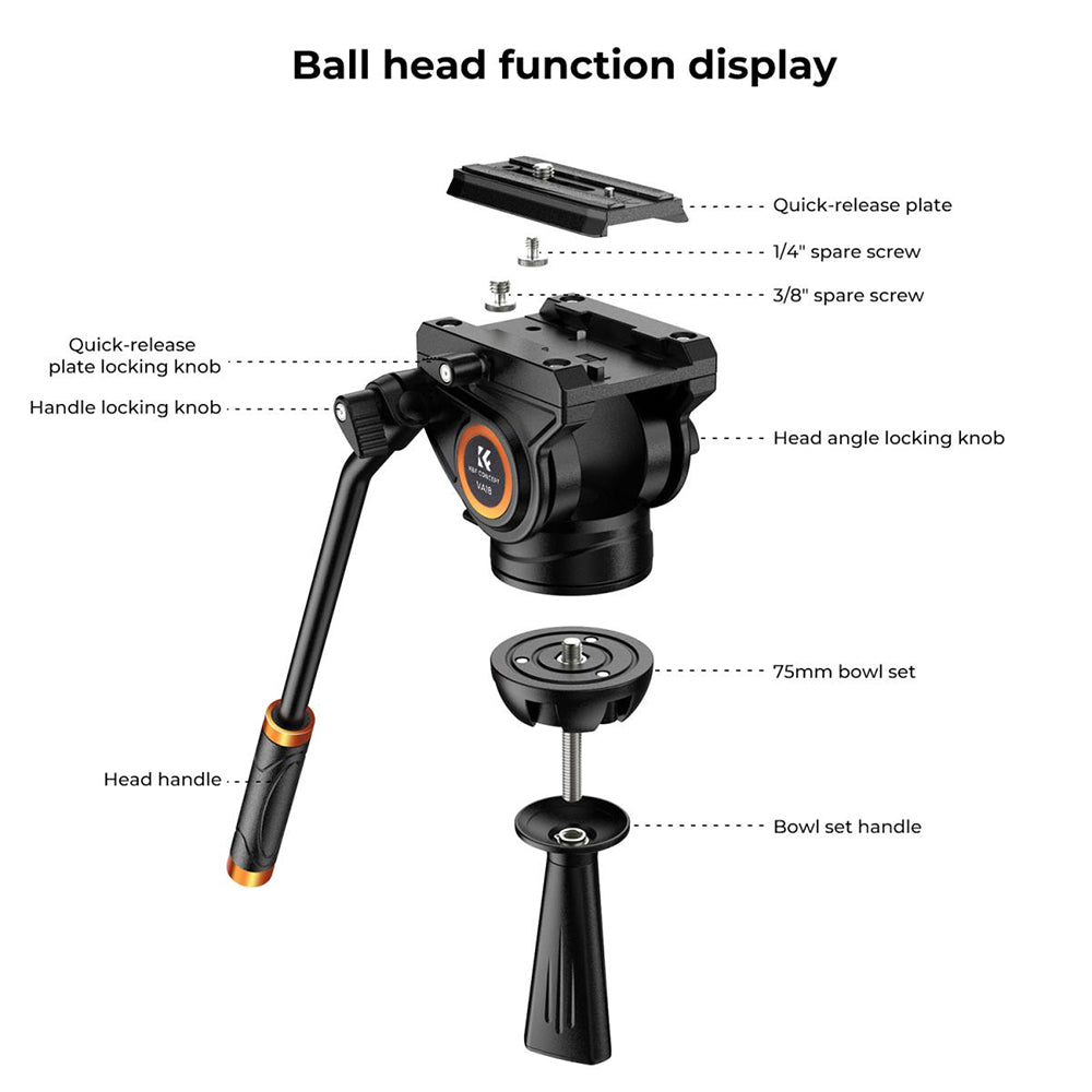 K&F Concept 8Kg Cap Aluminium Video Tripod, Panorama Fluid Ballhead KF09-121