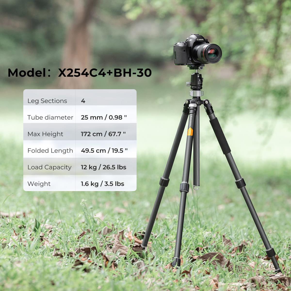 K&F Concept X Series Carbon Fibre Tripod X254C4 with BH-30 Head – Grey & Black
