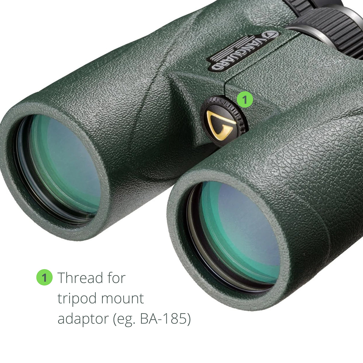 Vanguard VEO ED 10x42 Carbon Binoculars Waterproof and Nitrogen Perched