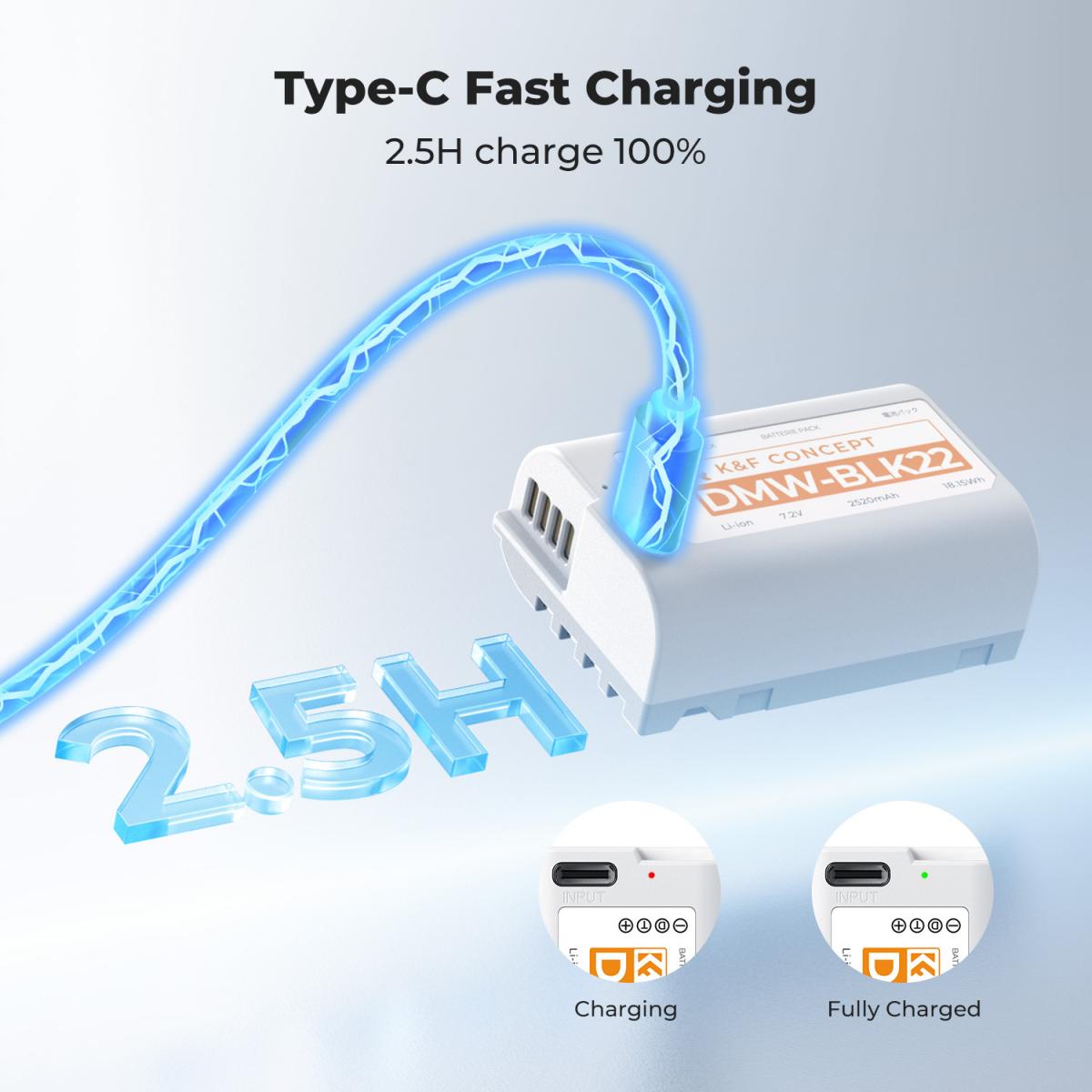 K&amp;F Concept DMW-BLK22 2520mAh USB-C Battery for Panasonic