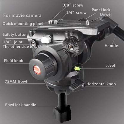 Powerwin Fluid Head Tripod - Video Recording - 1 X Control Handle PW-180AS