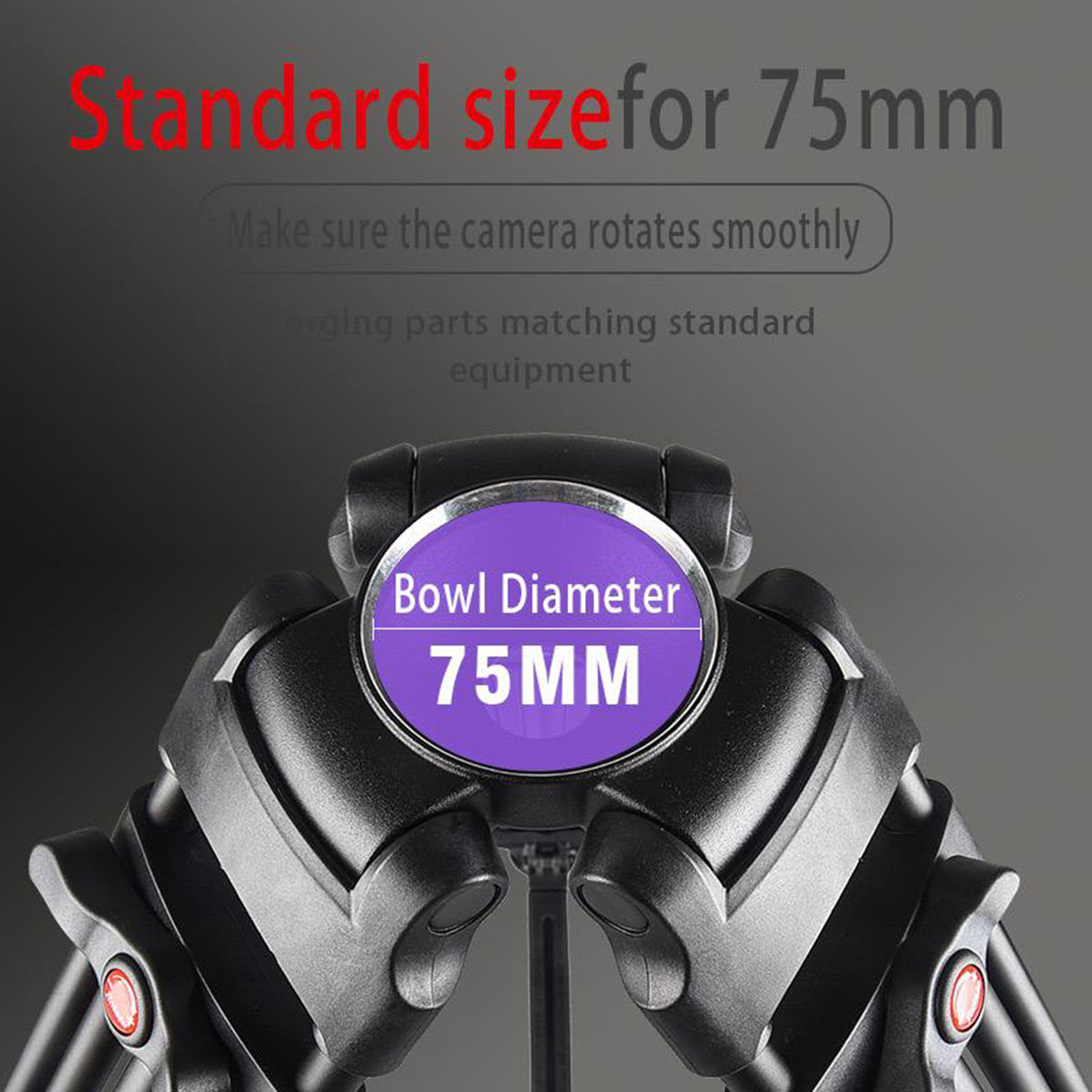 Powerwin Fluid Head Tripod - Video Recording - 1 X Control Handle PW-180AS