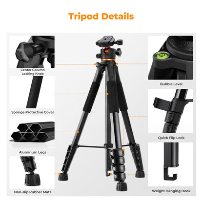 K&amp;F Concept Smart Lightweight Camera &amp; Phone Tripod | Ultimate Stability 8kg Load Capacity – S255A3+B-Head, Black