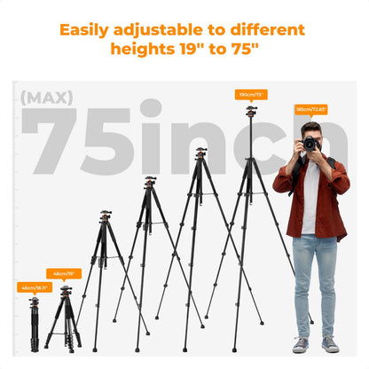 K&amp;F Concept Smart Lightweight Camera &amp; Phone Tripod | Ultimate Stability 8kg Load Capacity – S255A3+B-Head, Black