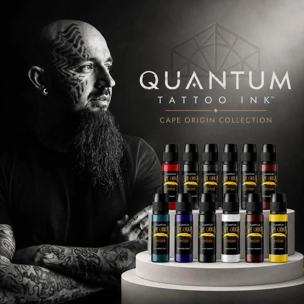 Quantum Tattoo Ink - 1oz Dean Taylor Cape Origin Colour Set (12 x 30ml)